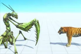 若200公斤的螳螂，和200公斤的老虎打一场，哪方会更厉害呢？图片