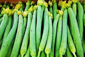 丝瓜分“有棱”和“无棱”，它俩有啥差别？建议搞懂再买，不费钱图片