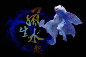 养鱼，甭管什么过滤形式，架空过滤棉才是最重要的物理过滤图片