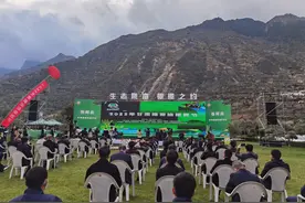 中国最大油橄榄产区橄榄油产量4年实现翻番图片