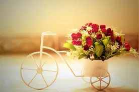 人老了，如果另一半不在了，请依靠三个人图片