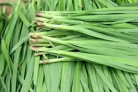 韭菜越割越细是什么原因，韭菜冲施肥用什么肥料好？图片