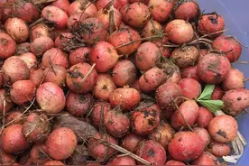 小时候的零食，山里的野果子，小伙伴来认领一下，都吃过哪些？图片