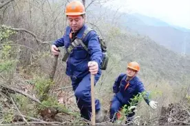 中国高山遍地，为啥秦岭被称为中华“龙脉”？它到底有何特殊？图片