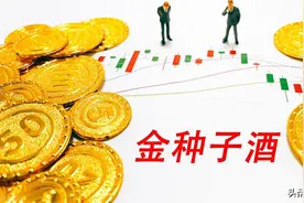 立足安徽，徽酒四杰，金种子酒：华润赋能，金种子如何突出重围？图片