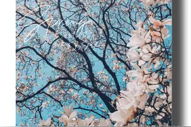 咋用手机修图，给照片加上漂亮文字，手机摄影必学技巧图片