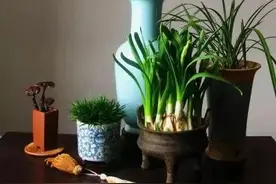 圣学之道《中庸》上图片