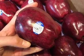 美国蛇果77一斤，中国花牛7块一斤，网友：“一样的”苹果凭什么图片