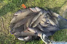 夏季野钓，最经典的4个饵料配方，钓大鱼专用，每次都能爆护图片