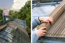 跟风做阳光房的，后悔了吗？我在顶上铺竹席做遮阳，冬夏都能用图片