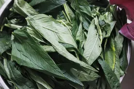 农村这7种蔬菜别只吃它的果实，叶子更美味，关键营养价值更高图片