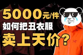 始祖鸟，不割穷人的韭菜图片