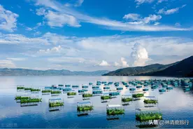 昆明和玉溪中间，有一座神仙小城，冬暖夏凉，养老简直完美图片