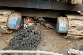 宁夏一工地闯入凶猛大蜥蜴，可后脖颈被抓即变温顺，是红泰加巨蜥图片