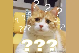 广州CBD种水稻？网友：这很广州！真相揭晓图片