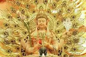 一起了解孔雀大明王菩萨图片