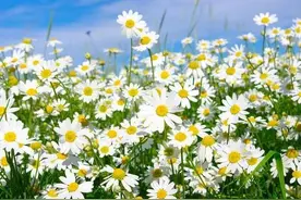 人最大的恶，就是把自己的认知当真理，站在道德的制高点批评别人图片