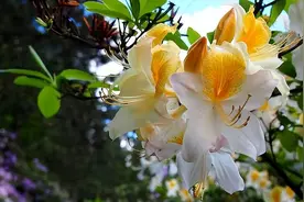 女人真正爱上你的表现，细节很特别图片