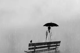 什么叫意难平图片