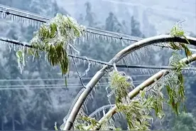 这些耳熟能详的句子，你知道它们的出处吗？图片