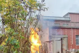 罗山一老乡做饭时灶具使用不当引火灾 蓝朋友友情提示：“放青菜 盖锅盖！”图片