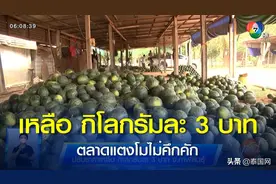 受高油价影响 泰国加拉信府西瓜跌至每公斤3铢图片