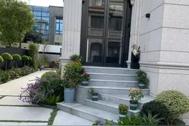 小院里，大门前，如何做一个让人眼前一亮的景观？图片