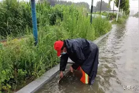 225毫米！平度这里降雨量最大图片