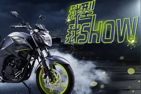 雅马哈飞致250 旅行版详情介绍 售价21500元图片