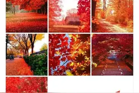 微头条如何配图才抢眼图片