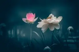 【网络公益】“乐亭娃说非遗”之《带你认识秸秆扎刻》图片