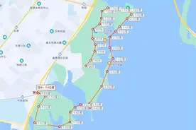 武汉东湖绿道骑行攻略 8大路线任你选择图片