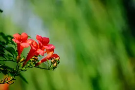 站桩养生两例图片