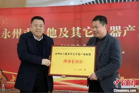 湖南东安打造“吉他之乡”文化IP图片