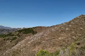 五一赞美劳动者的诗（七绝3首）图片