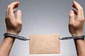 刑侦故事之菜地长出头发，是真菌所致还是天怒人怨人神共愤？图片