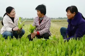 什么是大学生村官图片