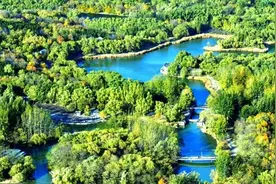 雨天出不去，不如宅家看这个→图片