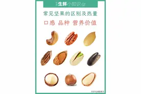 常见坚果的种类和特点图片