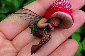 新疆发现“红柳娃”，外貌和人一样仅1尺高，小人族真的存在？图片