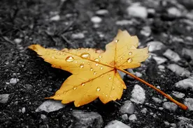 儿孙身上有这三个特征，是家庭香火断绝的征兆，务必要警惕图片