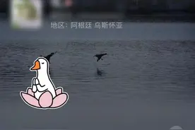 微信定位在冰岛的人，都开始在农场里养蟑螂了图片