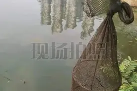 为满足口腹之欲非法网鱼，信丰一人被判刑图片