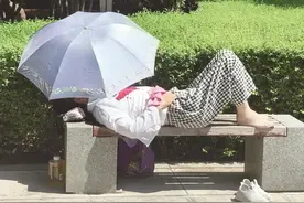 晚报观察 | 据说“晒背”可养生 但并非人人都适合图片