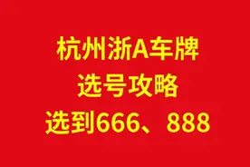 杭州市车牌选号最全攻略，教你4种方式轻松选浙A666，浙A888图片