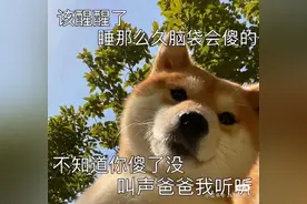 网抑云情绪馆来啦图片