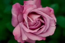 断联后，女人放不下一个男人，一般会是这样子图片