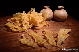 为什么不推荐你们买这些鱼胶，新手特别容易中招！赶快收藏起来图片