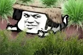 和平精英：队友太菜了怎么办？什么样的套路才能带她吃鸡？图片