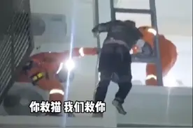山东临沂 小伙爬4楼空调外机救猫结果自己也被困图片